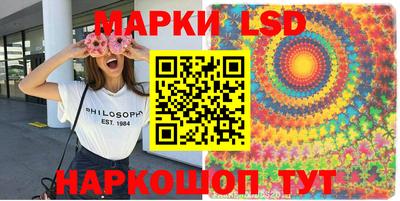 PSILOCYBIN Донской