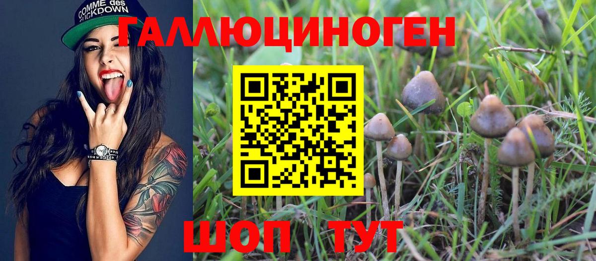 Чистополь  Псилоцибиновые грибы ЛСД  Вход с VPN 